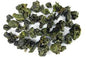 Verbena