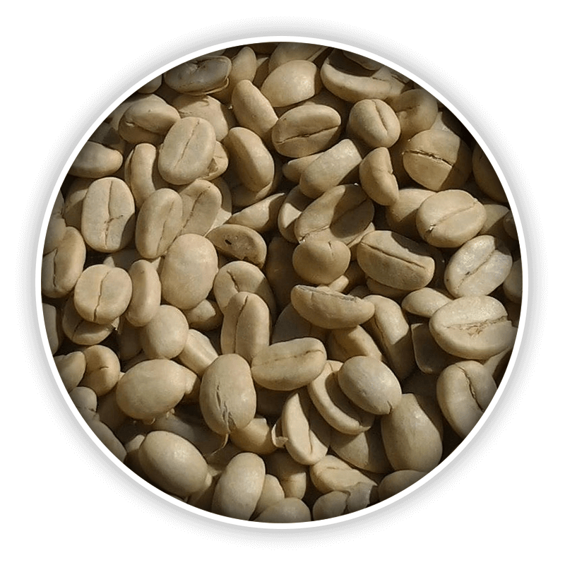 Green Coffee
