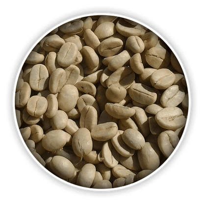 Green Coffee