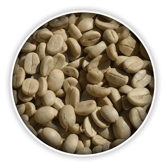 Green Coffee